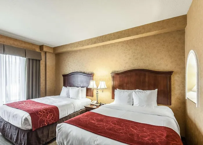 Comfort Suites Alamo/Riverwalk